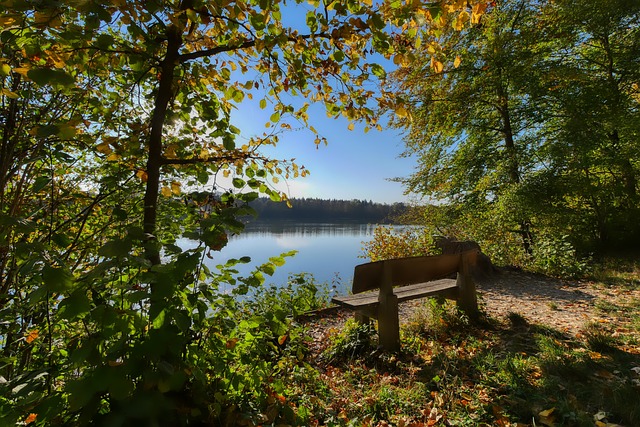 连续数场比 连续数场比