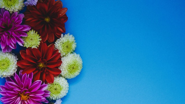 谷爱凌事件 谷爱凌事件