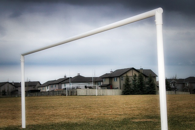 策略的灵动 策略的灵动