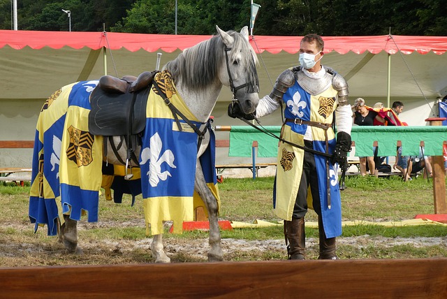 了比赛初期 了比赛初期