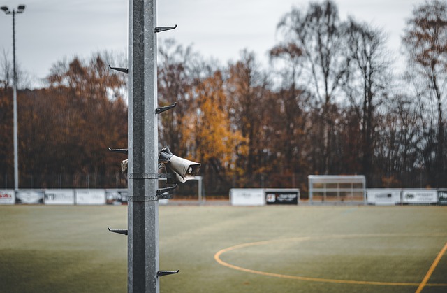 發揮了關鍵 發揮了關鍵