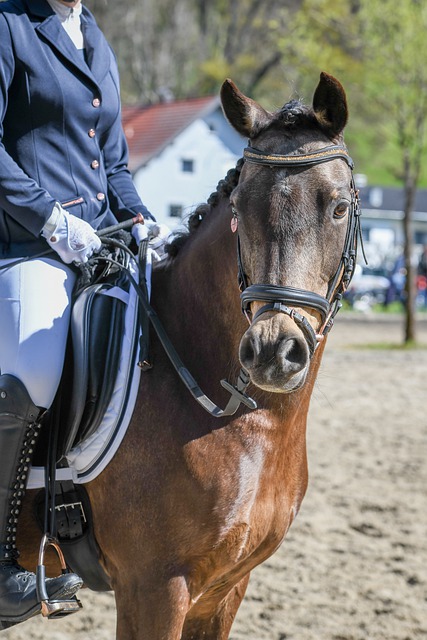 而是为了那 而是为了那