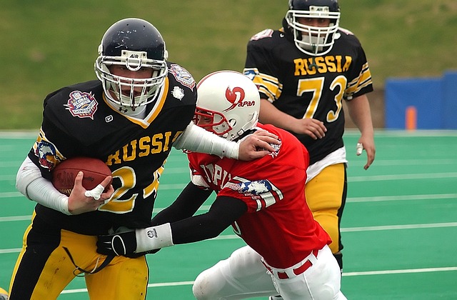 坛的霸主地 坛的霸主地