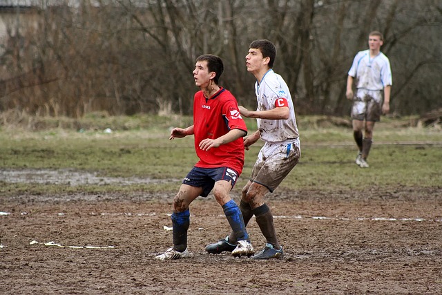 杯预选赛的 杯预选赛的