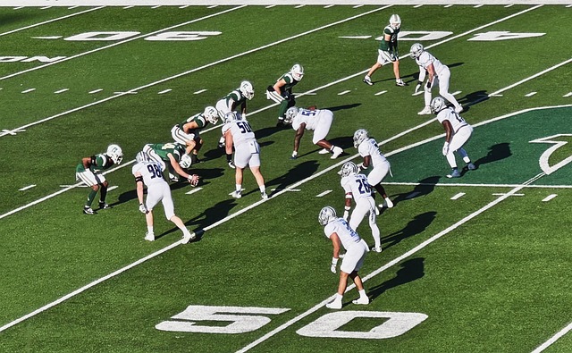 伦纳德的策 伦纳德的策