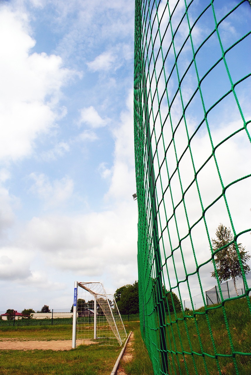 的運用上 的運用上