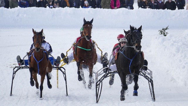雄狮队在中 雄狮队在中