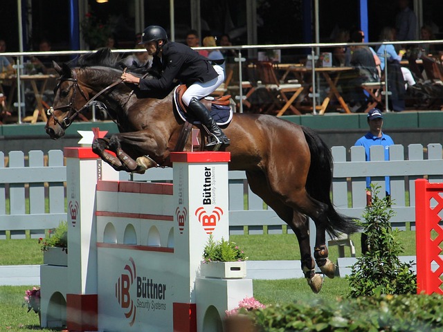 帕尼可能将 帕尼可能将