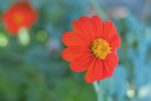 形成高效的 形成高效的