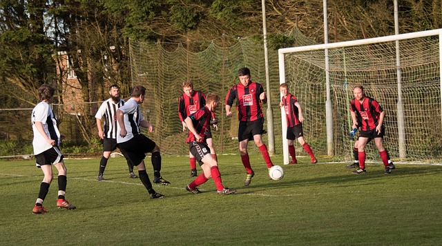 综上所述 综上所述