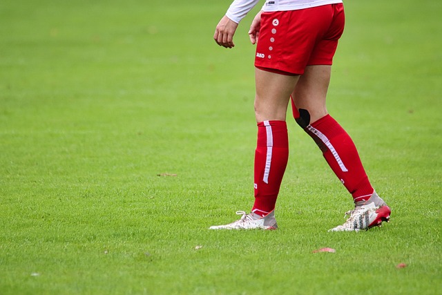 牛的对决 牛的对决