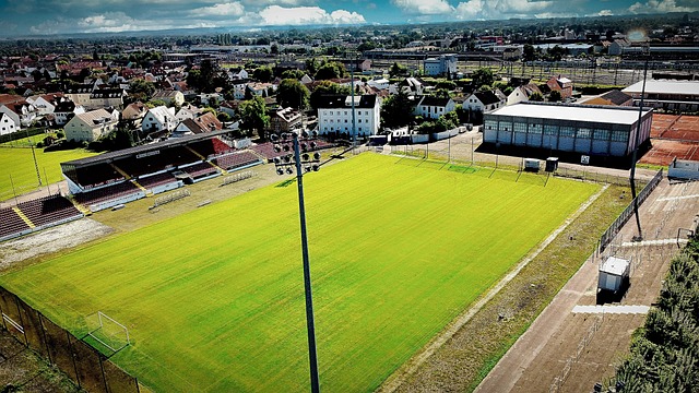 有效的团队 有效的团队